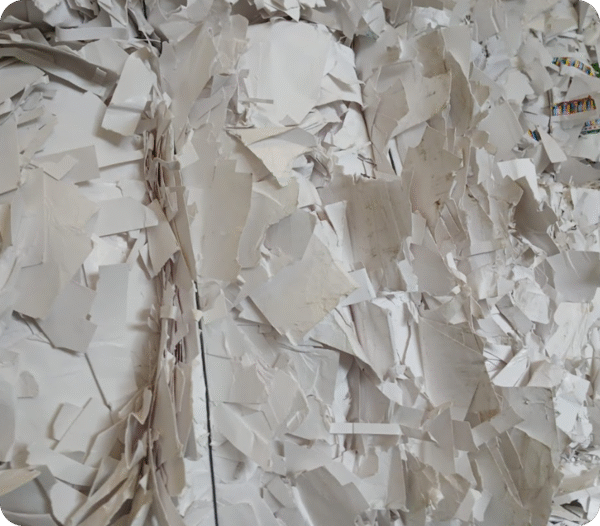 UPSBS - Image 6